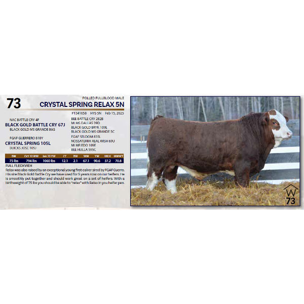 CRYSTAL SPRING RELAX 5N