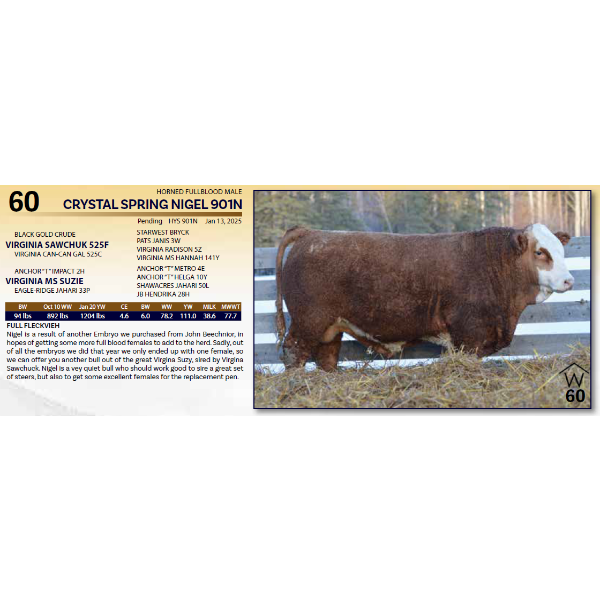 CRYSTAL SPRING NIGEL 901N 