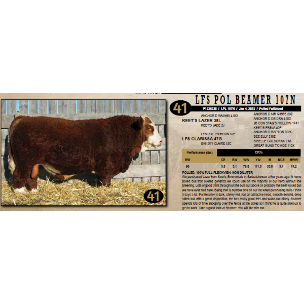LANGER FLECKVIEH SIMMENTALS