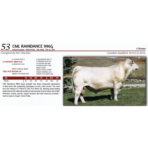 CML RAINDANCE 996G - 5 Straws