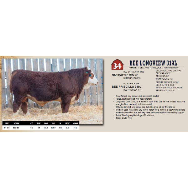 BEE LONGVIEW 319L