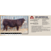 Image 1 : BEE LONGVIEW 319L