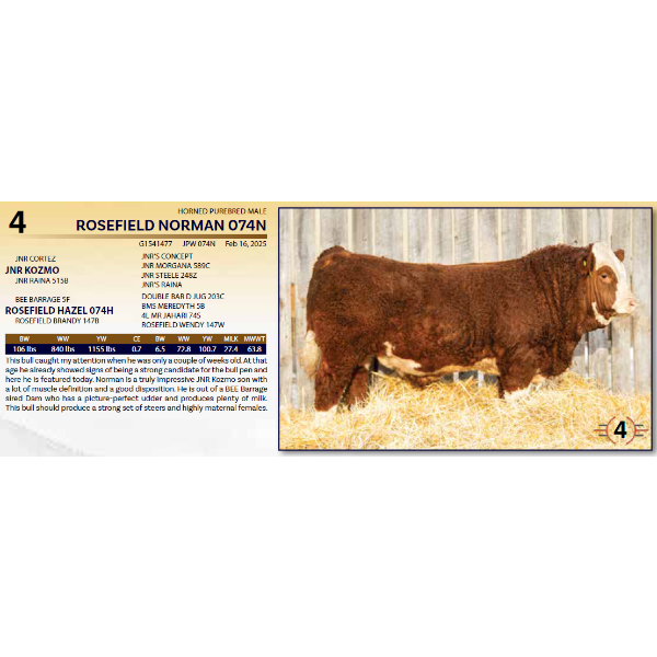 ROSEFIELD NORMAN 074N 