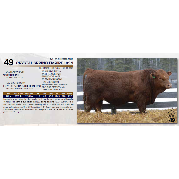 CRYSTAL SPRING EMPIRE 183N 