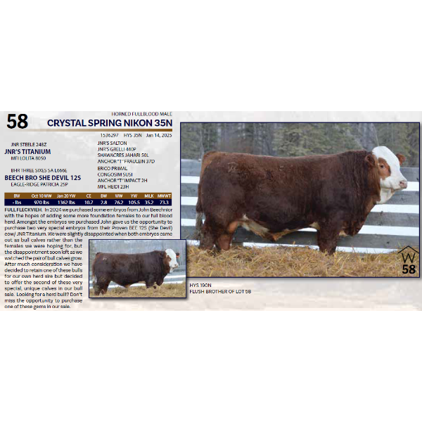 CRYSTAL SPRING NIKON 35N 