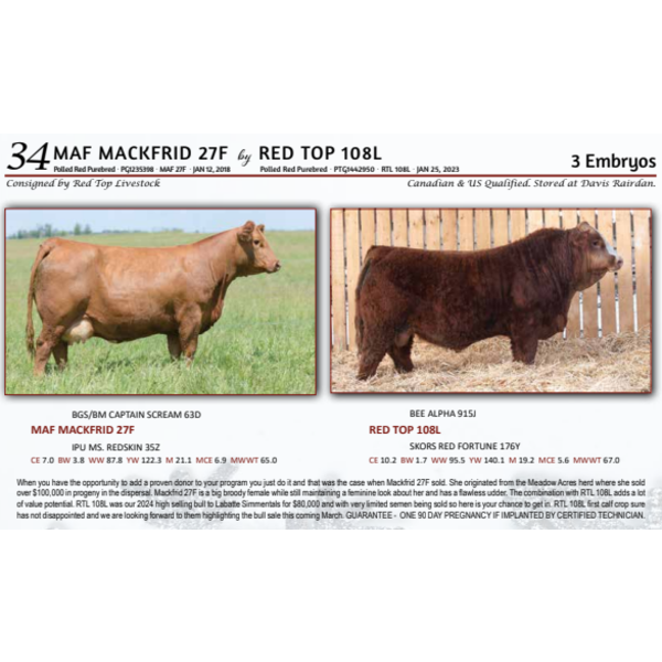MAF MACKFRID 27F by RED TOP 108L - 3 Embryos