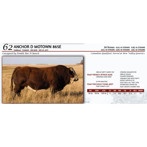 ANCHOR D MOTOWN 865E - 10 STRAWS 