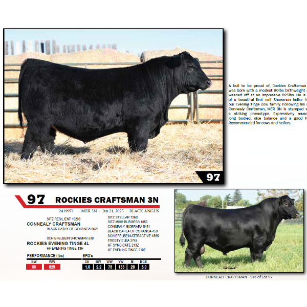 ROCKIES CRAFTSMAN 3N