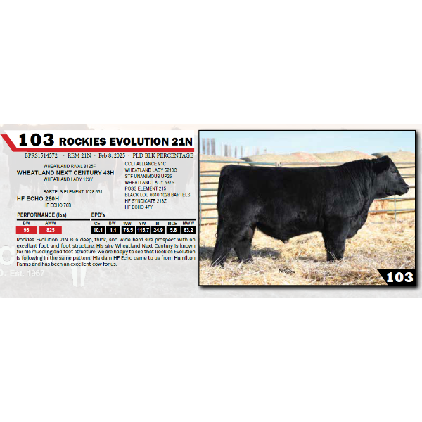 ROCKIES EVOLUTION 21N