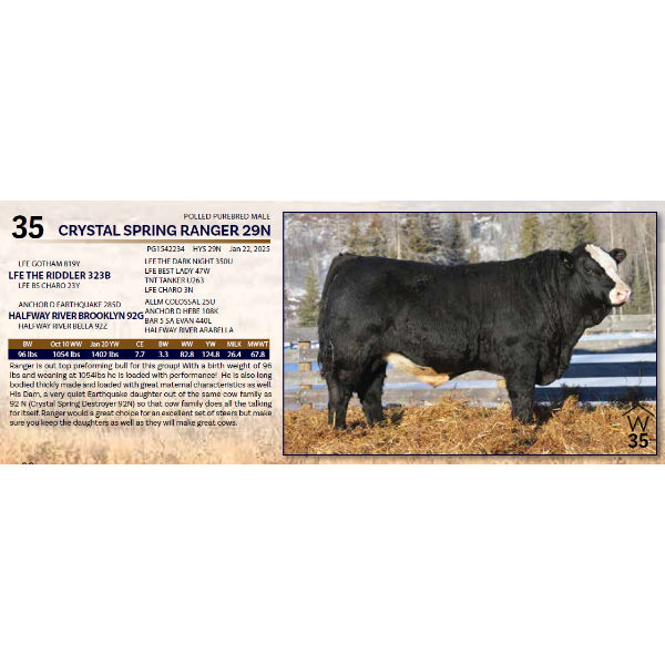 CRYSTAL SPRING RANGER 29N 