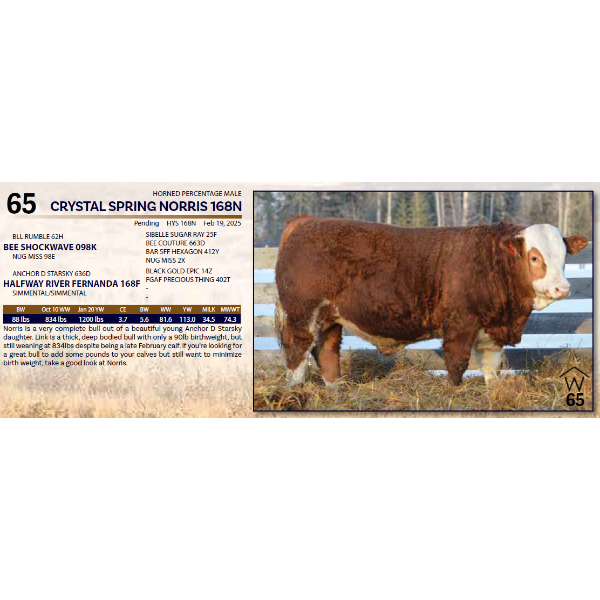 CRYSTAL SPRING NORRIS 168N