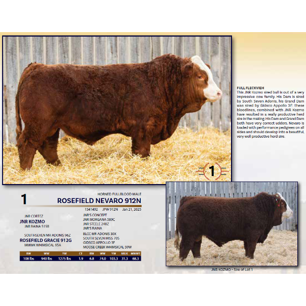 ROSEFIELD NEVARO 912N