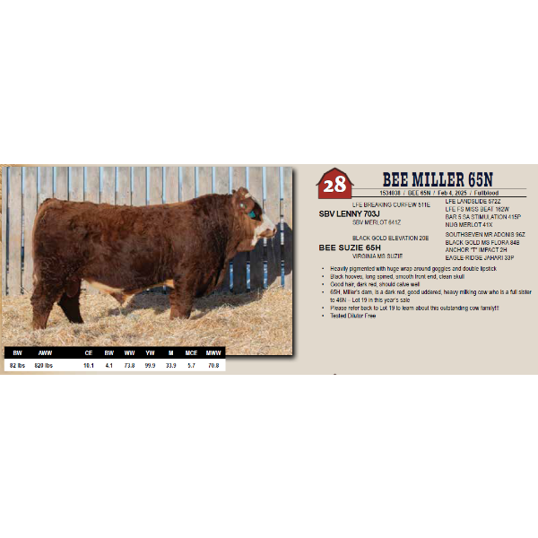 BEE MILLER 65N