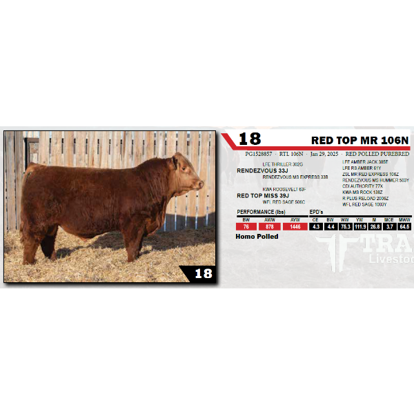 RED TOP MR 106N 