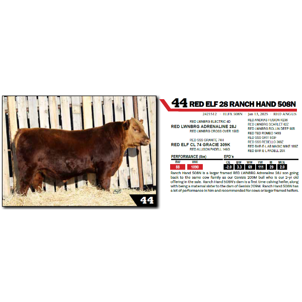 RED ELF 28 RANCH HAND 508N