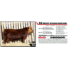 Image 1 : RED ELF 28 RANCH HAND 508N