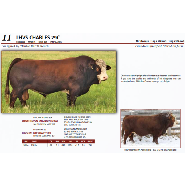 LHVS CHARLES 29C - 5 STRAWS 