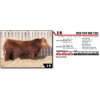 Image 1 : RED TOP MR 78N 