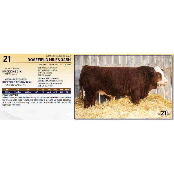 ROSEFIELD NILES 325N 