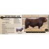 Image 1 : Century Simmentals