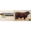 Image 1 : Century Simmentals