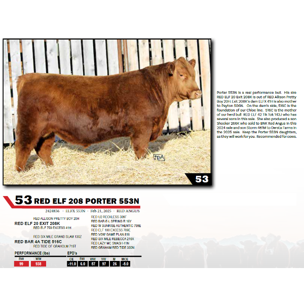 RED ELF 208 PORTER 553N