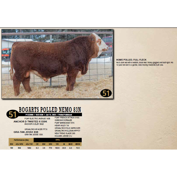 Diamond B Simmentals