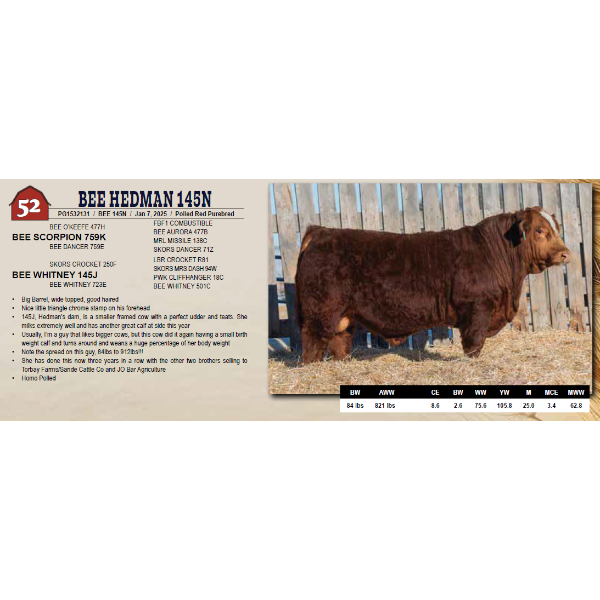 BEE HEDMAN 145N