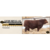 Image 1 : Century Simmentals