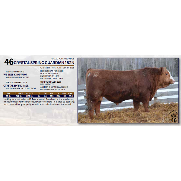 CRYSTAL SPRING GUARDIAN 182N 