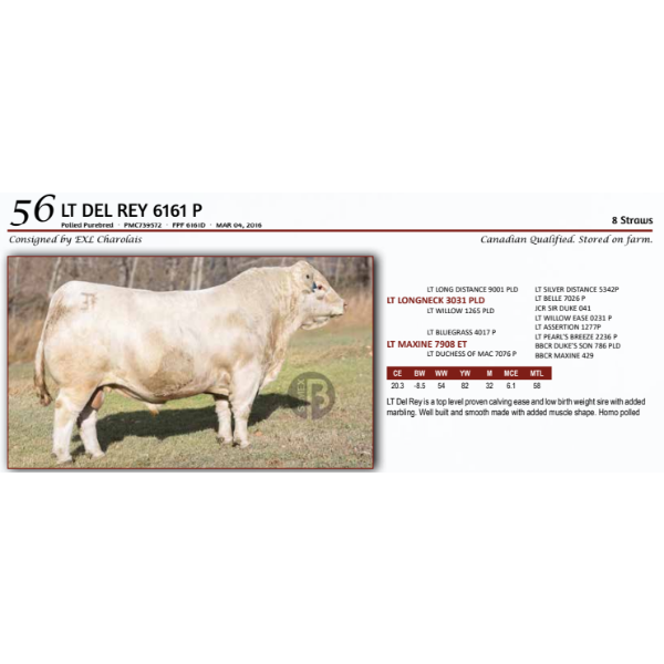 LT DEL REY 6161 P - 8 Straws 