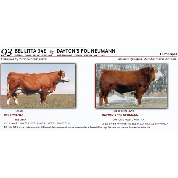 BEL LITTA 34E by DAYTON’S POL NEUMANN - 3 Embryos