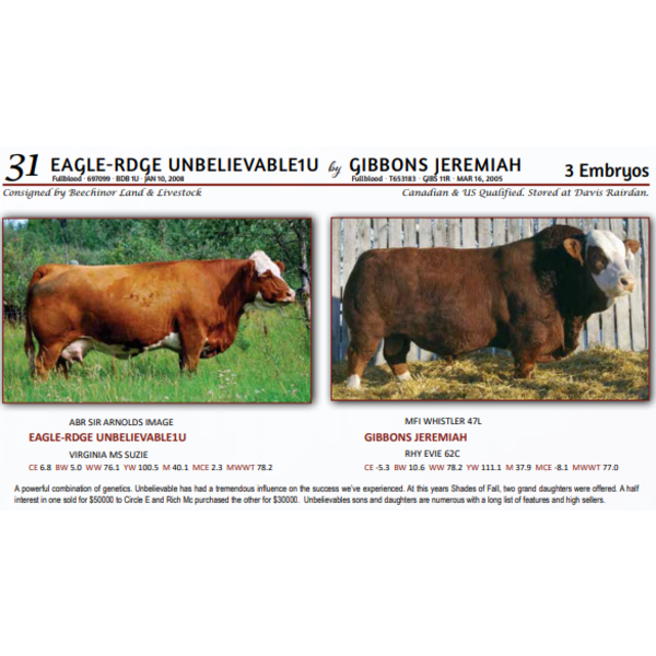 EAGLE-RDGE UNBELIEVABLE1U by GIBBONS JEREMIAH - 3 Embryos 