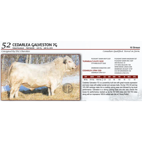 CEDARLEA GALVESTON 7G - 10 Straws 