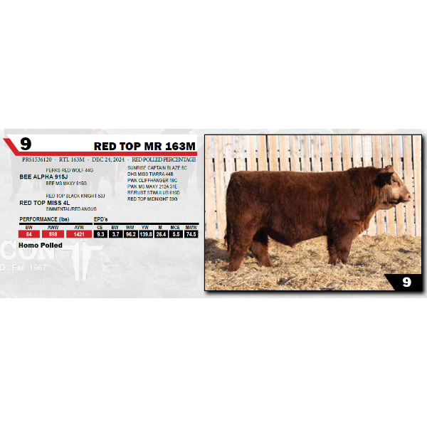 RED TOP MR 163M 