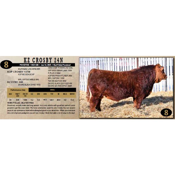KZ Simmentals