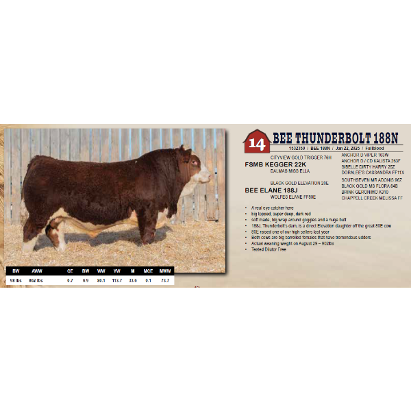 BEE THUNDERBOLT 188N