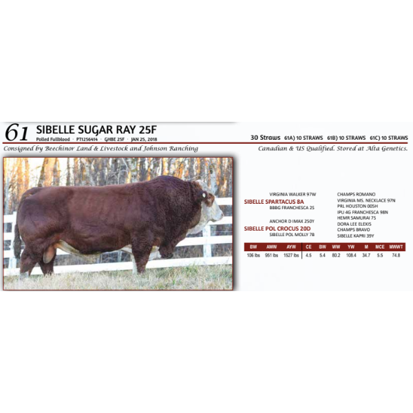 SIBELLE SUGAR RAY 25F - 10 STRAWS 