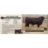 Image 1 : Century Simmentals