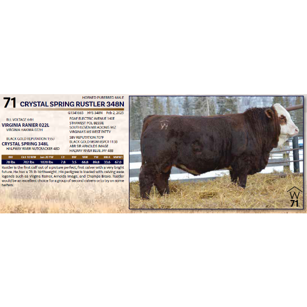 CRYSTAL SPRING RUSTLER 348N 