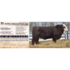 Image 1 : CRYSTAL SPRING RUSTLER 348N 