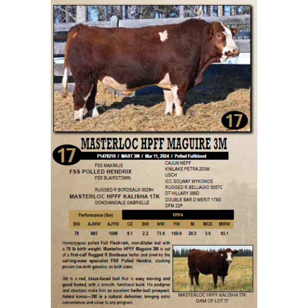 Masterloc Simmentals