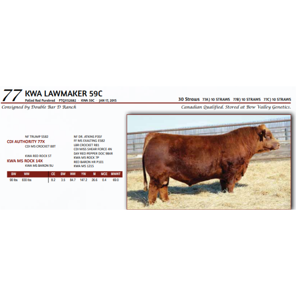 KWA LAWMAKER 59C - 10 STRAWS 