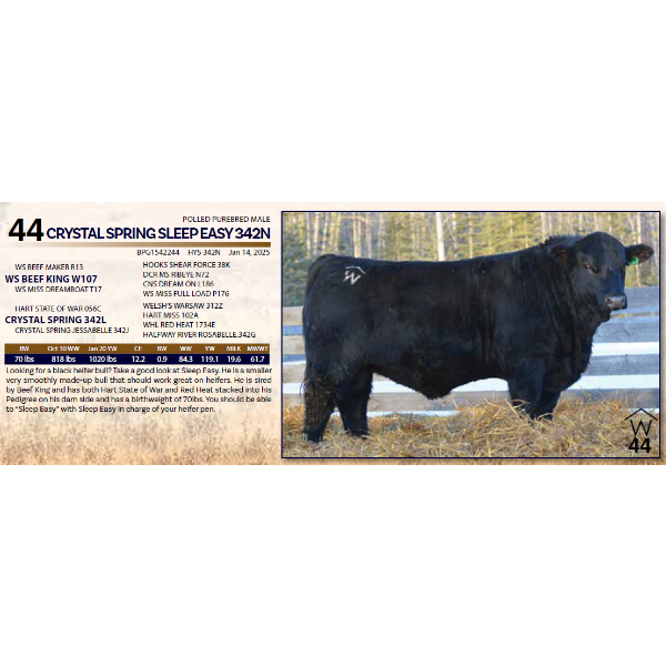 CRYSTAL SPRING SLEEP EASY 342N