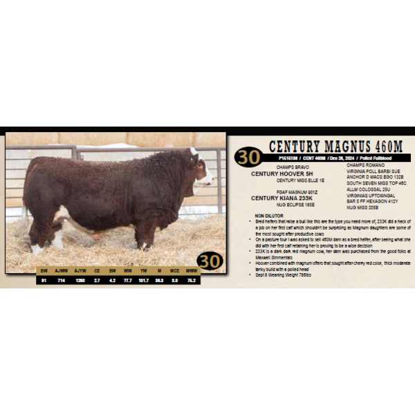 Century Simmentals