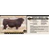 Image 1 : Century Simmentals