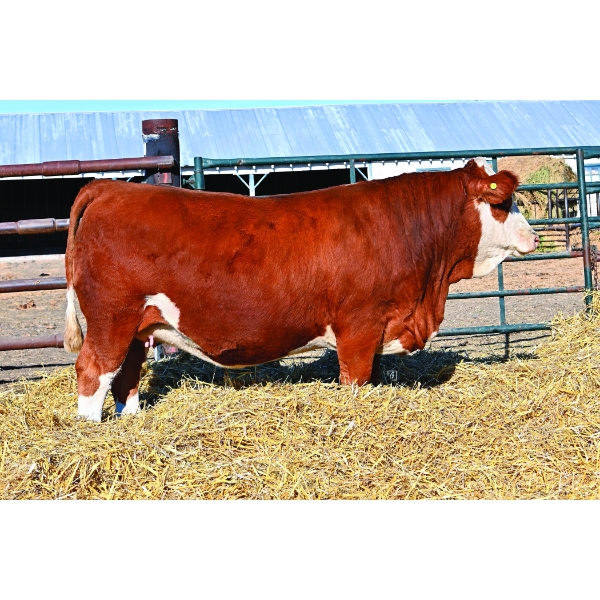 Clearwater Farms Ltd