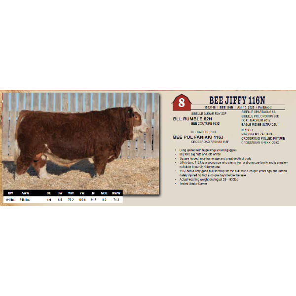 BEE JIFFY 116N
