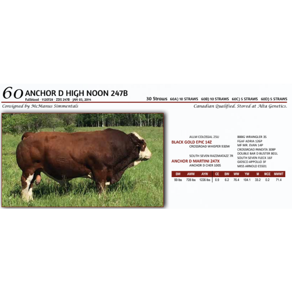 ANCHOR D HIGH NOON 247B - 10 STRAWS 