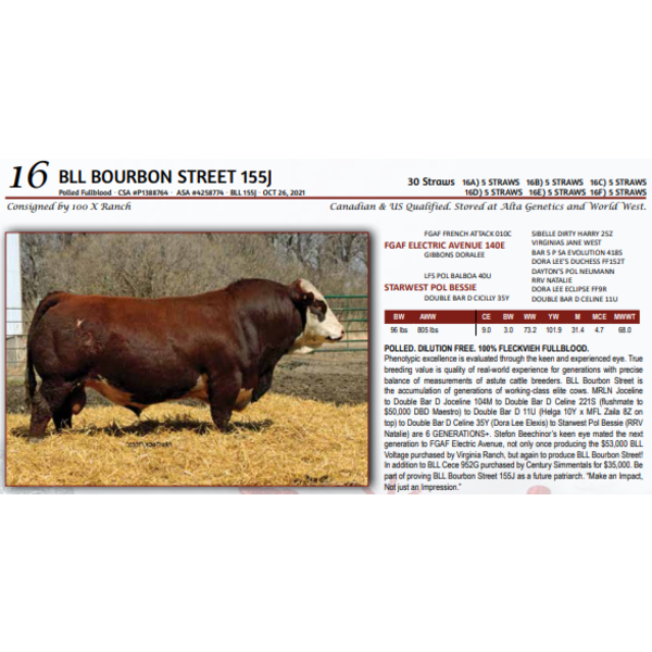 BLL BOURBON STREET 155J - 5 STRAWS 